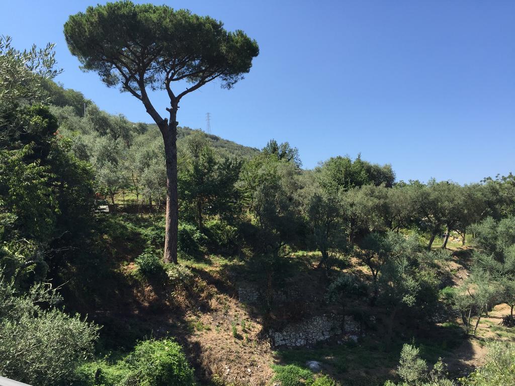 Séjour à la ferme Il Casale Del Mirto